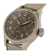 Load image into Gallery viewer, Cinturino in caucciù beige con inserto tessile coordinato e fibbia ad ardiglione in titanio.