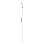 Load image into Gallery viewer, Swatch Paradise canopy SS08G112 - cassa gialla - cinturino silicone multicolor - quadrante argento