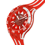 Load image into Gallery viewer, Lion's Mane