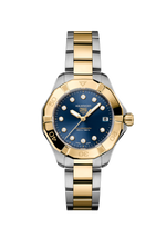 Load image into Gallery viewer, Aquaracer Professional 200 Solargraph