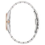 Load image into Gallery viewer, Surveyor Lady