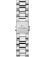 Load image into Gallery viewer, Seamaster Aqua Terra 30mm