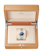 Load image into Gallery viewer, Seamaster Aqua Terra 30mm