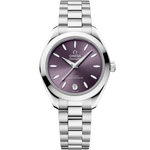 Load image into Gallery viewer, Seamaster Aqua Terra 30mm