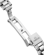 Load image into Gallery viewer, Seamaster Aqua Terra 30mm