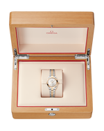 Load image into Gallery viewer, Seamaster Aqua Terra 30mm