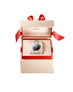 Load image into Gallery viewer, Seamaster Aqua Terra 34mm