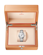 Load image into Gallery viewer, Bracciale in acciaio inox lucido e spazzolato con maglie arrotondate e chiusura déployante a farfalla dell’Omega Seamaster Aqua Terra 150M modello 220.10.38.20.02.001.