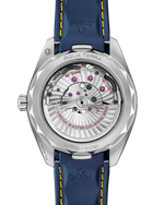 Load image into Gallery viewer, Seamaster Aqua Terra 150M