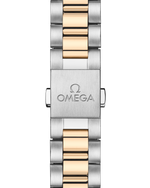 Load image into Gallery viewer, Seamaster Aqua Terra 41mm