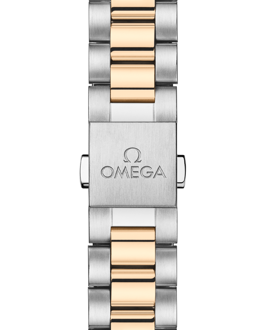 Seamaster Aqua Terra 41mm