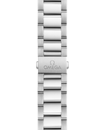 Load image into Gallery viewer, Seamaster Aqua Terra 43mm