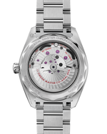 Load image into Gallery viewer, Seamaster Aqua Terra 41mm