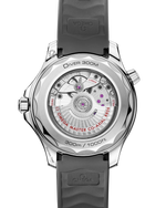 Load image into Gallery viewer, Seamaster Diver 300M