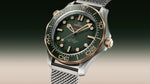 Load image into Gallery viewer, Seamaster Diver 300M
