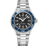 Load image into Gallery viewer, Seamaster Planet Ocean 600M