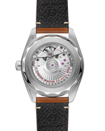 Load image into Gallery viewer, Seamaster Railmaster