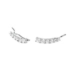 Load image into Gallery viewer, Mabina Orecchini rampicanti in argento con zirconi 563103