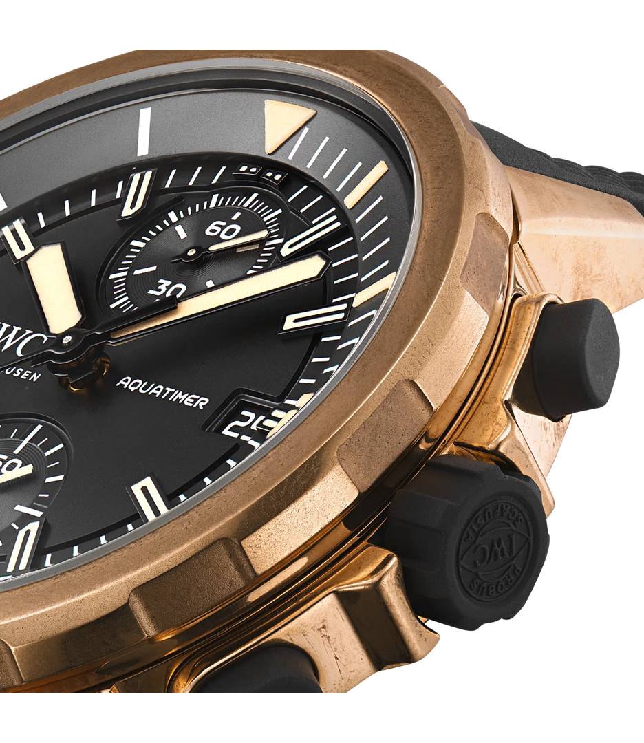 Aquatimer Chronograph Edition Expedition Charles Darwin 44