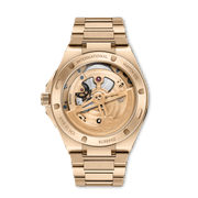 IWC Ingenieur Tourbillon 41 IW345901 - fondello con movimento a vista