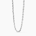 Load image into Gallery viewer, Collana con catena fancy in acciaio
