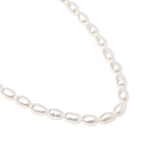 Load image into Gallery viewer, Mabina Girocollo in argento con perle coltivate 553828