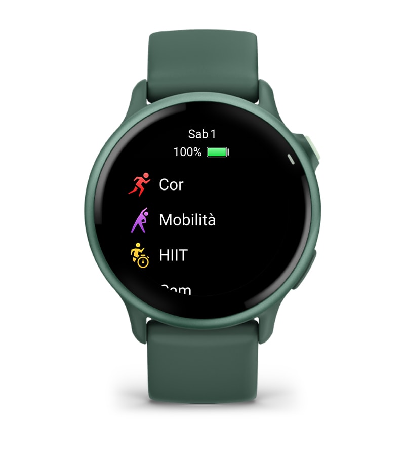 Vivoactive® 6