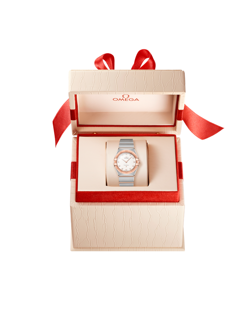 Bracciale integrato in acciaio inox e oro Sedna™ con maglie lucide e satinate e fondello inciso con medaglione osservatorio Constellation
