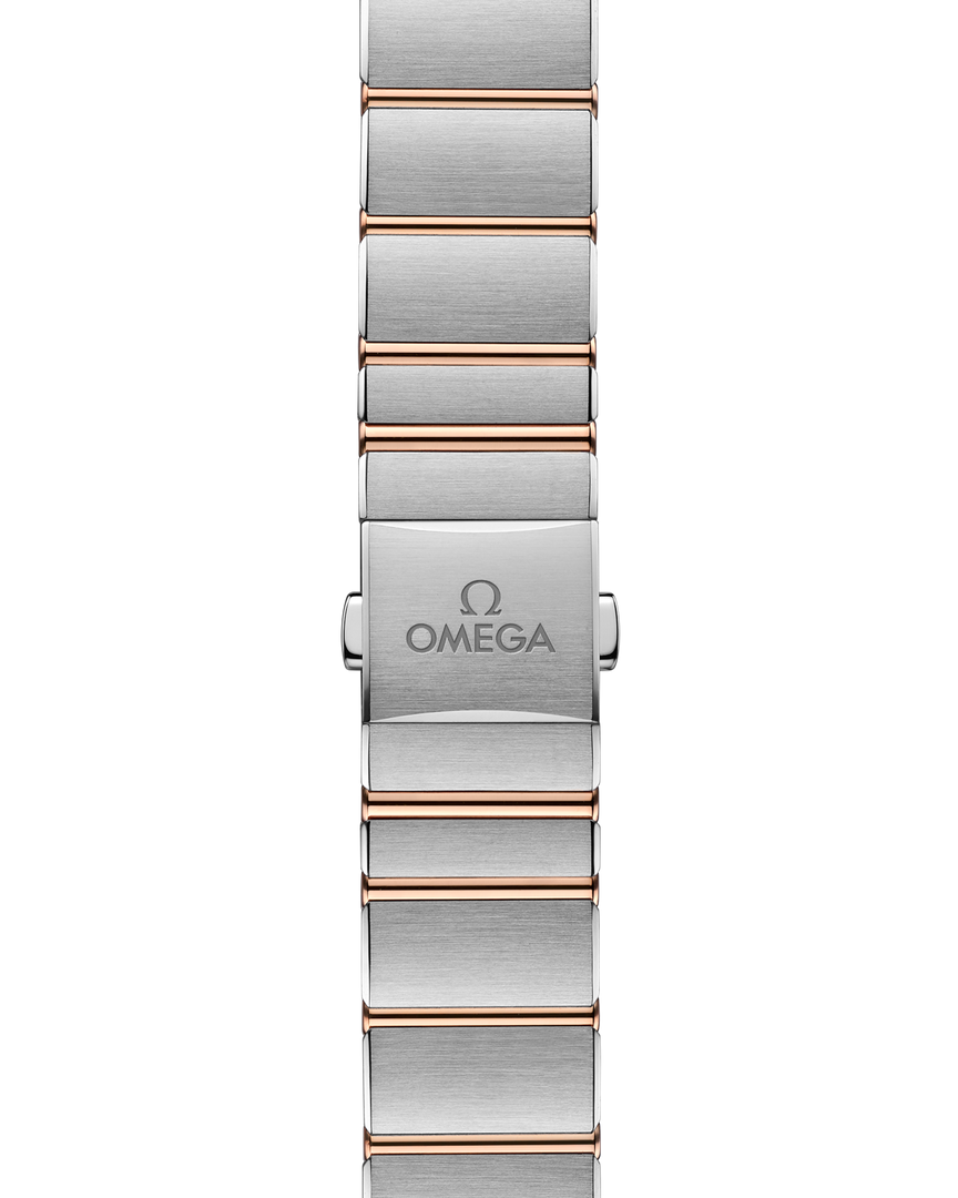 Bracciale integrato in acciaio inox con maglie lucide e satinate e fondello con incisione medaglione osservatorio Constellation