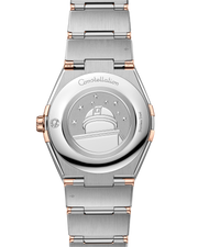 Cassa in acciaio inox e oro Sedna™ 18K da 36 mm con lunetta in oro Sedna™ e numeri romani incisi