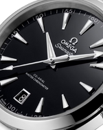 Load image into Gallery viewer, Seamaster Aqua Terra 150M
