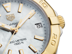 Load image into Gallery viewer, Aquaracer Date
