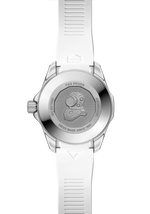 Load image into Gallery viewer, Aquaracer Professional 300 Date
