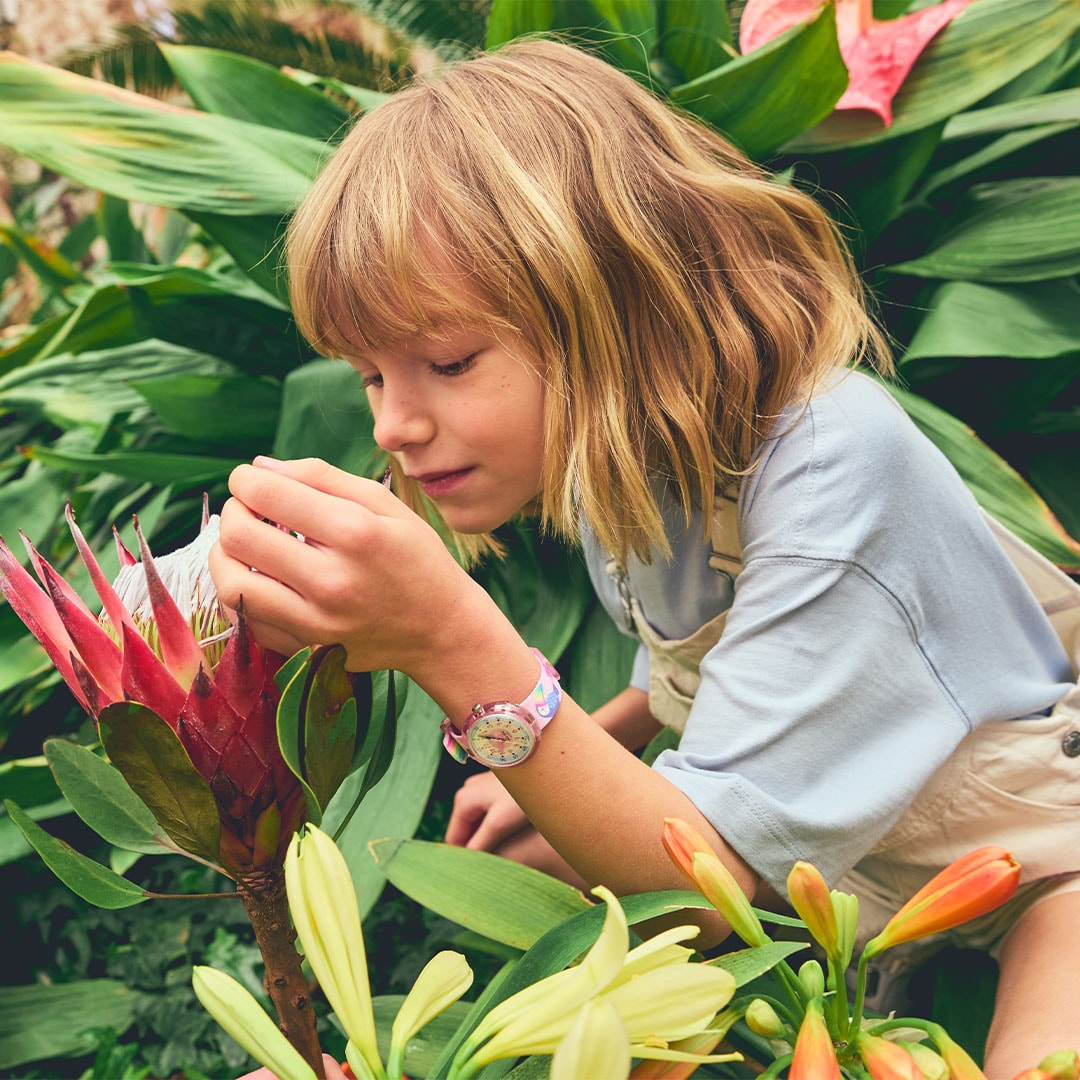 Toucans Treasures