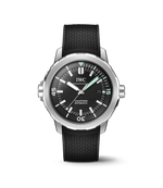 Load image into Gallery viewer, Aquatimer Automatic 42
