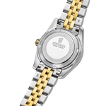 Load image into Gallery viewer, Festina Classic steel F20088/2 - bracciale acciaio/oro giallo - cassa acciaio  quadrante oro con datario -fondello
