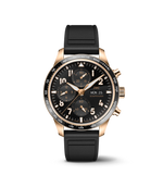 Load image into Gallery viewer, Pilot’s Watch Performance Chronograph 41
