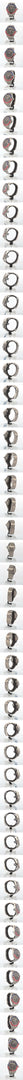 GMT Master II