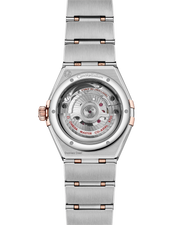 Cassa da 29 mm in acciaio inossidabile e oro rosa 18K Sedna™ con lunetta tempestata di diamanti e bracciale bicolore integrato acciaio/oro