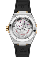 Load image into Gallery viewer, Cassa da 41 mm in acciaio inossidabile e oro giallo con finiture lucide e satinate, bracciale integrato bicolore acciaio/oro
