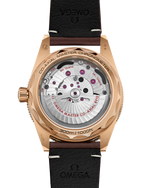 Load image into Gallery viewer, Seamaster 300
