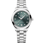 Load image into Gallery viewer, Seamaster Aqua Terra 30mm