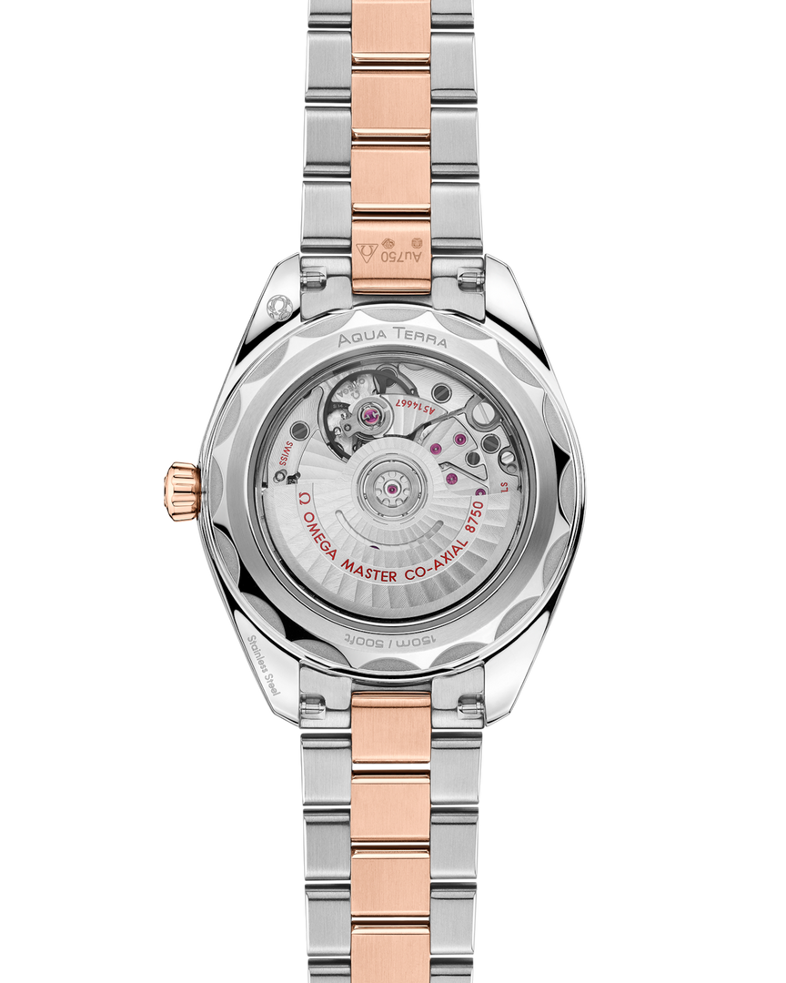 Seamaster Aqua Terra 30mm