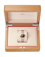 Load image into Gallery viewer, Seamaster Aqua Terra 30mm
