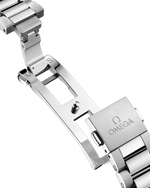 Load image into Gallery viewer, Seamaster Aqua Terra 34mm
