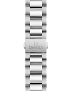 Load image into Gallery viewer, Seamaster Aqua Terra 38mm
