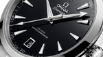 Load image into Gallery viewer, Seamaster Aqua Terra 41mm
