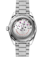 Load image into Gallery viewer, Seamaster Aqua Terra 41mm
