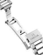 Load image into Gallery viewer, Seamaster Aqua Terra 41mm
