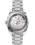 Load image into Gallery viewer, Seamaster Aqua Terra 41mm

